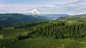 natural-disasters-in-oregon-3