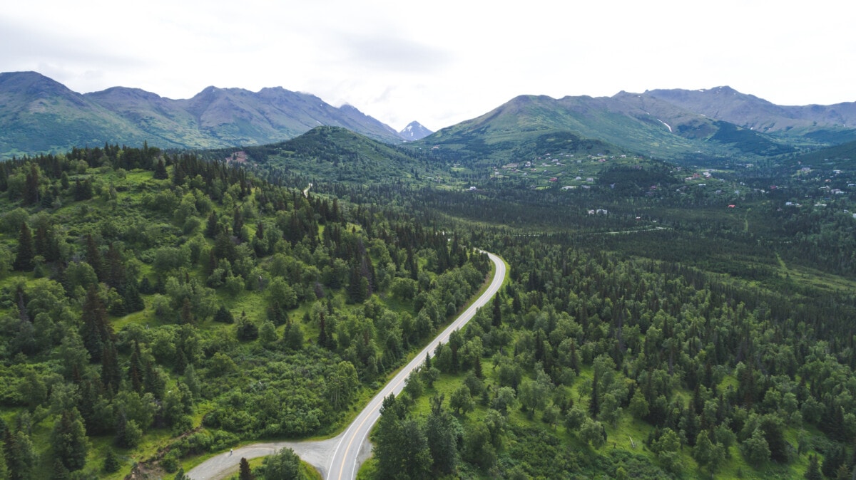 Aerial view of Alaskan highway and forest