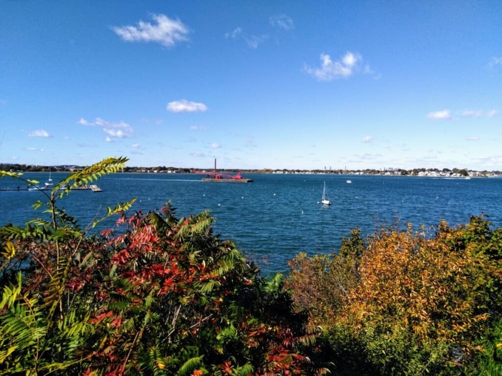 Norfolk County, MA Housing Market Update: July 2026