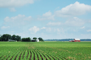 Indiana soybean field and farm