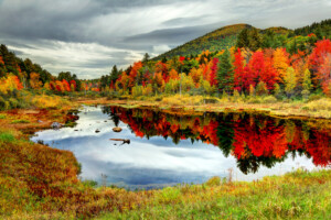 Autumn foliage in the White Mountains of New Hampshire