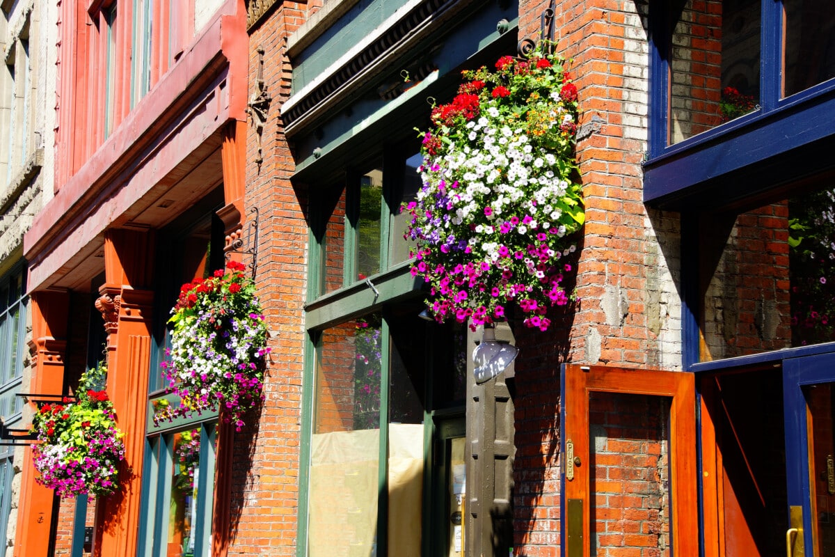 Shutterstock: Businesses in Pioneer Square, Seattle