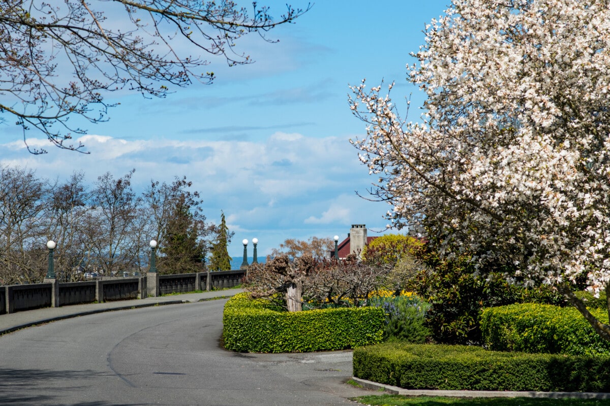 Shutterstock: Street in Queen Anne neighborhood, Seattle