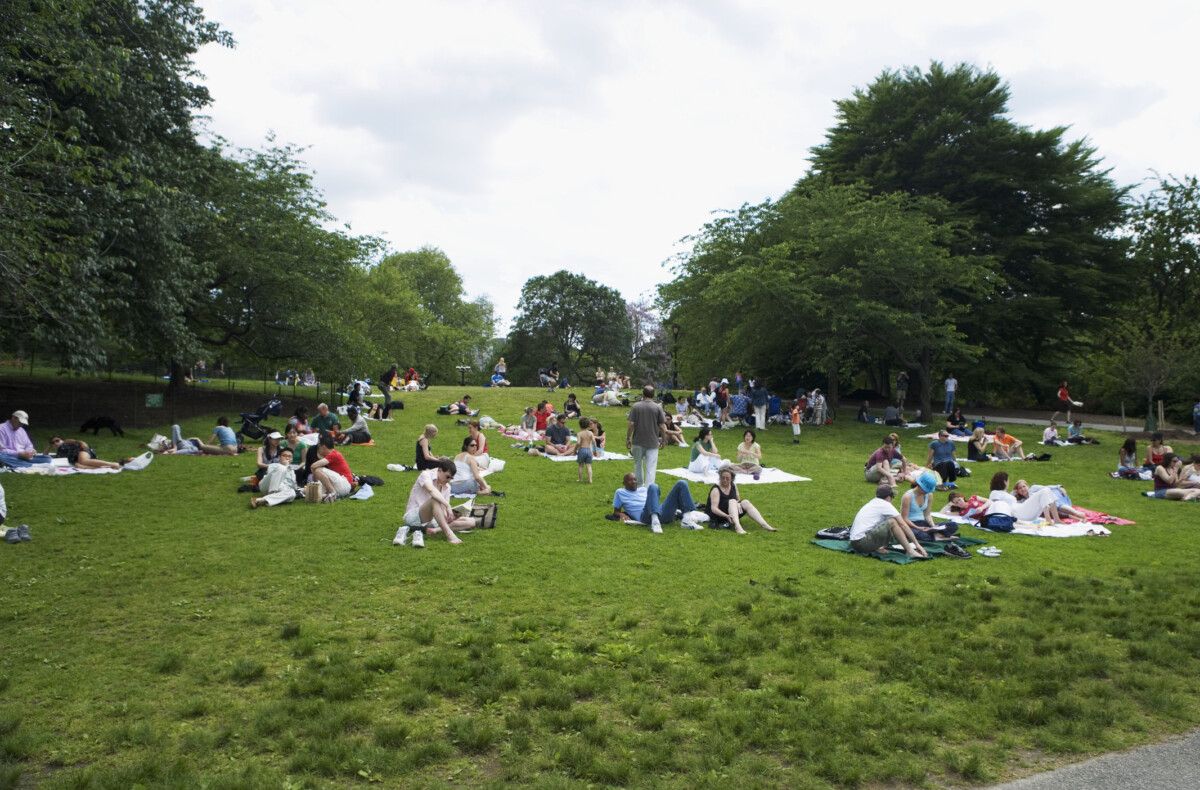 People sitting in a park