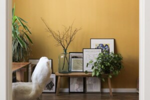 room with yellow wall