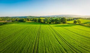 Nebraska farm