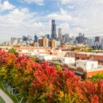 Fall Colors in Chicago - Chicago Cityscape - Aerial View