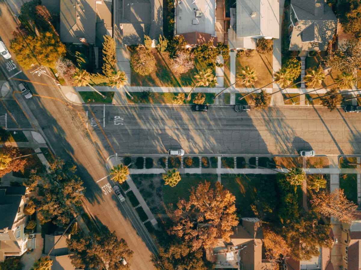 Aerial View of Street with Palm Trees