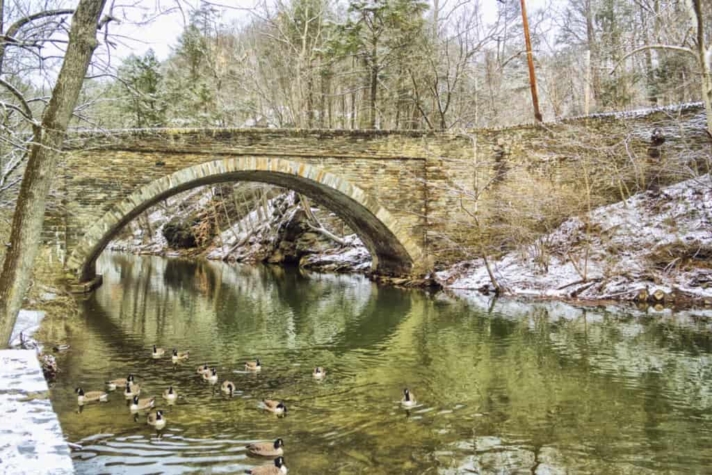wisdsahickon-valley-park-pa