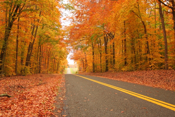 road in maryland with autumn trees_Getty