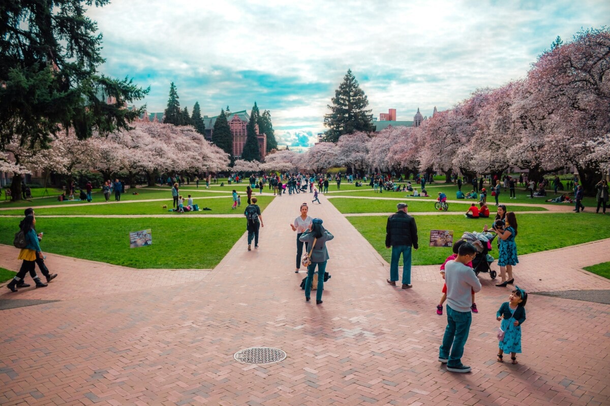 University of Washington in Seattle