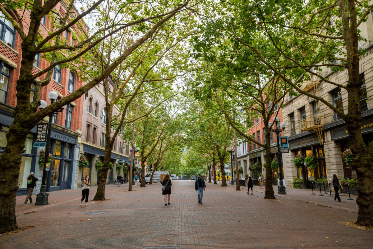 lush trees in Pioneer Square, Seattle, WA