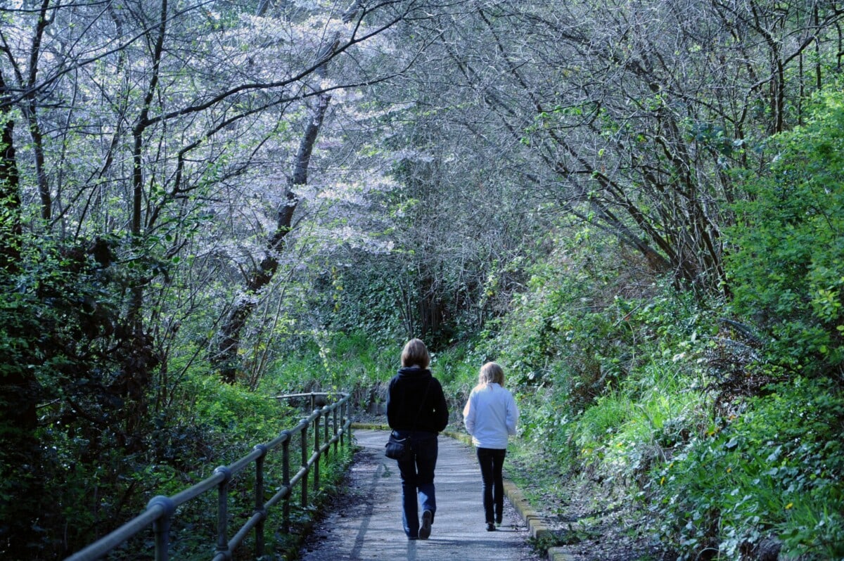 Discovery park in Seattle