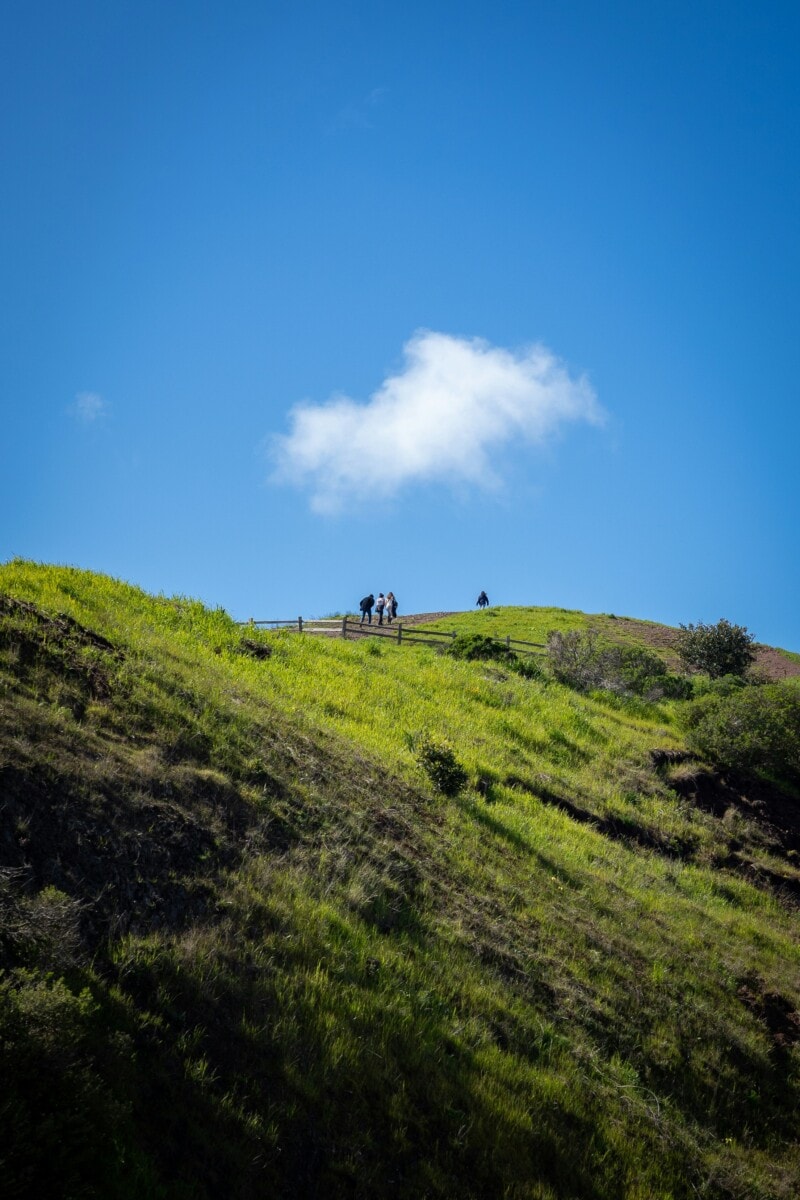 hillside view of bernal heights park in san francisco, ca