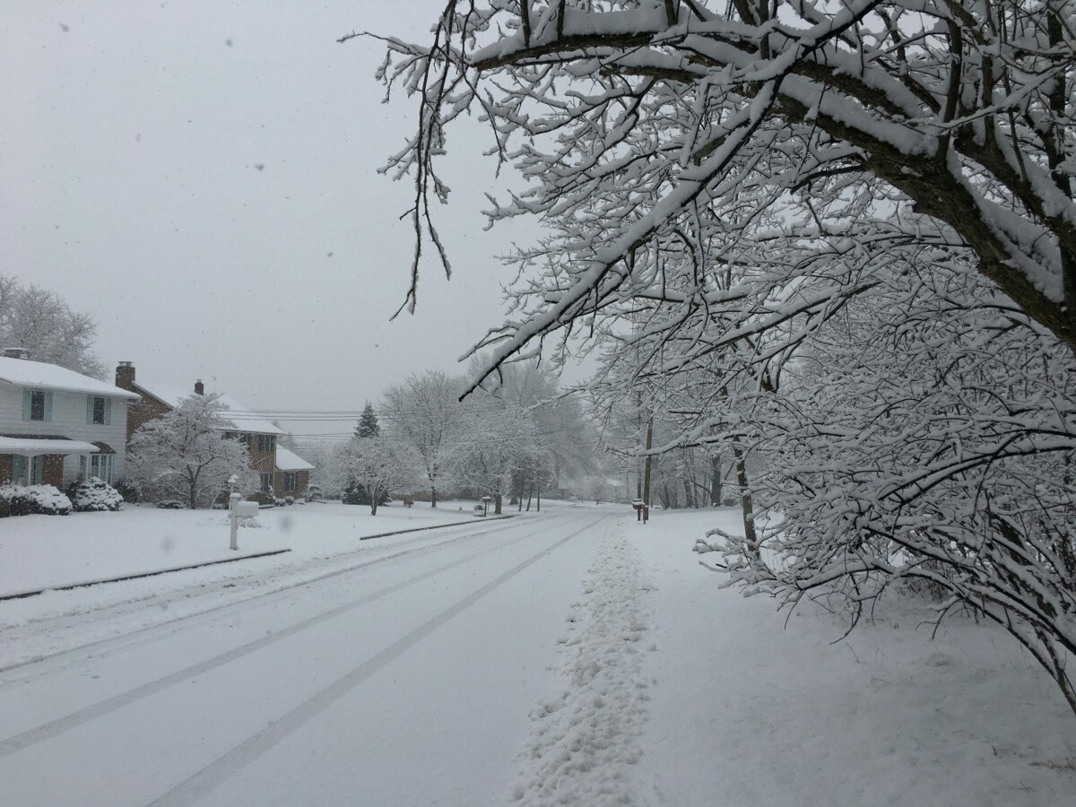snowy street in binghamton ny