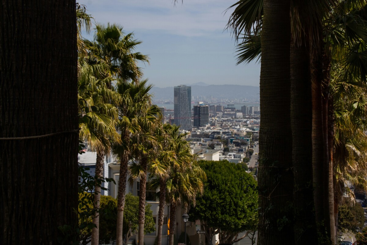 View of San Francisco from Bueno Vista Park