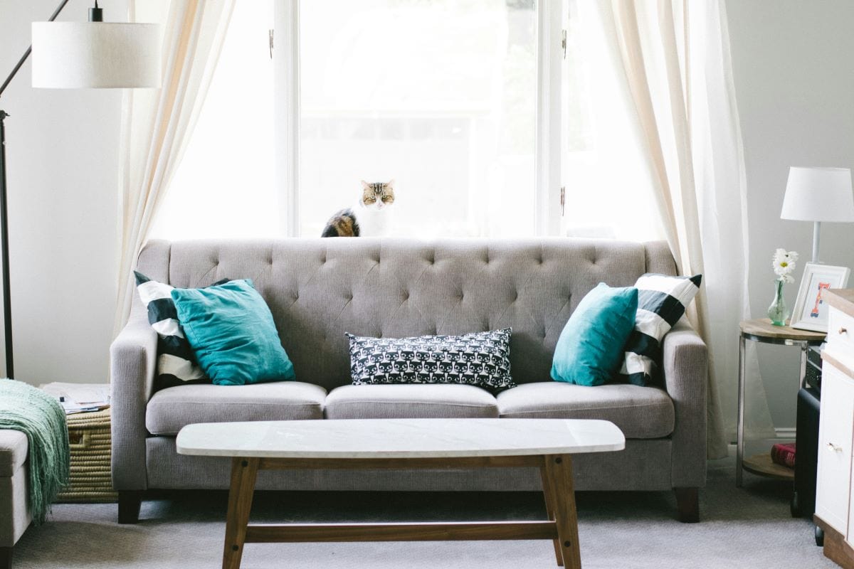gray couch with pillows
