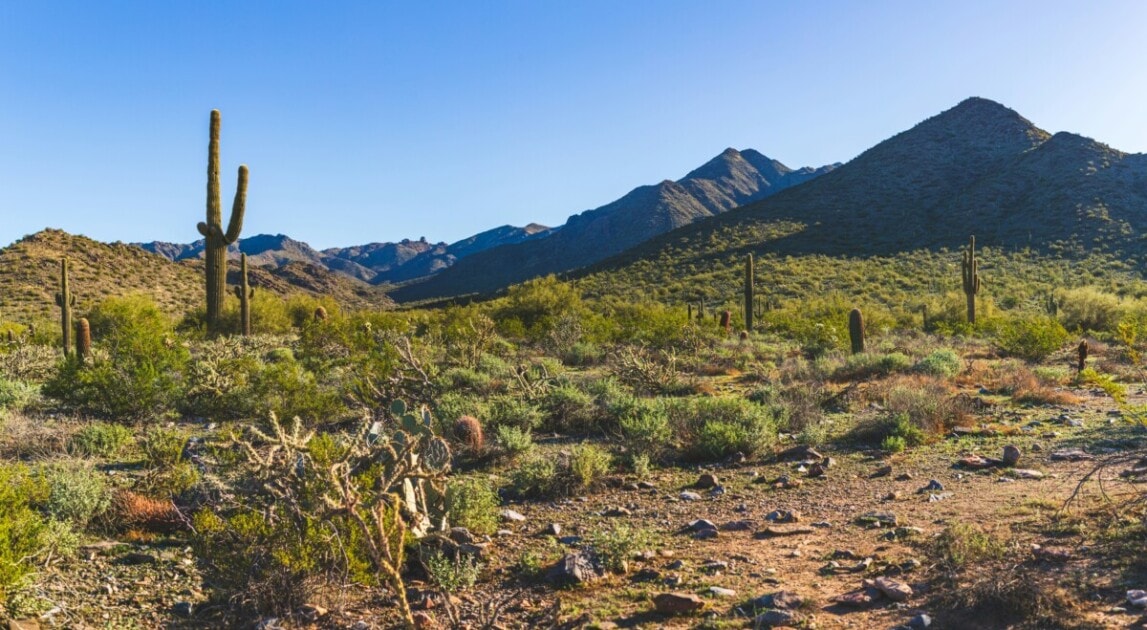 A photo of the Arizona landscape