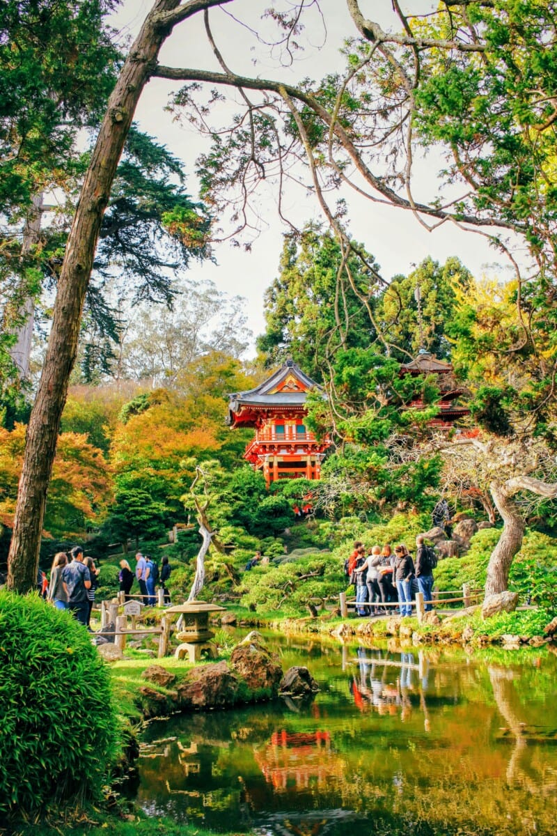 lush garden chinatown san francsico