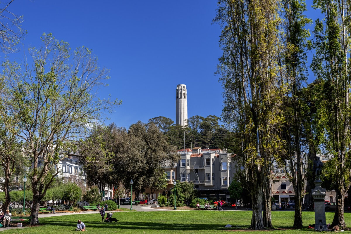view of coit tower from washington square park in san francisco's north beach neighborhood
