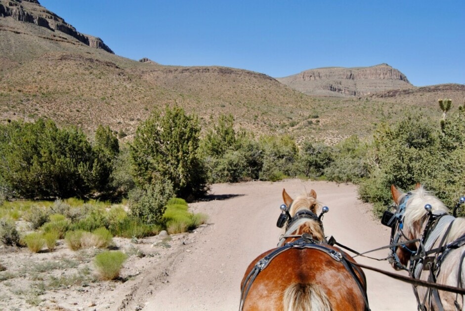 Traveling by horseback is one of the best things to do in Arizona and a must for any Mesa bucket list