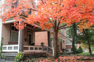 residential home with bright tree during autumn in columbus ohio