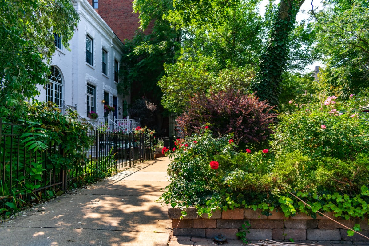 Residential,Sidewalk,In,Chicago's,Lakeview,Neighborhood,During,Summer