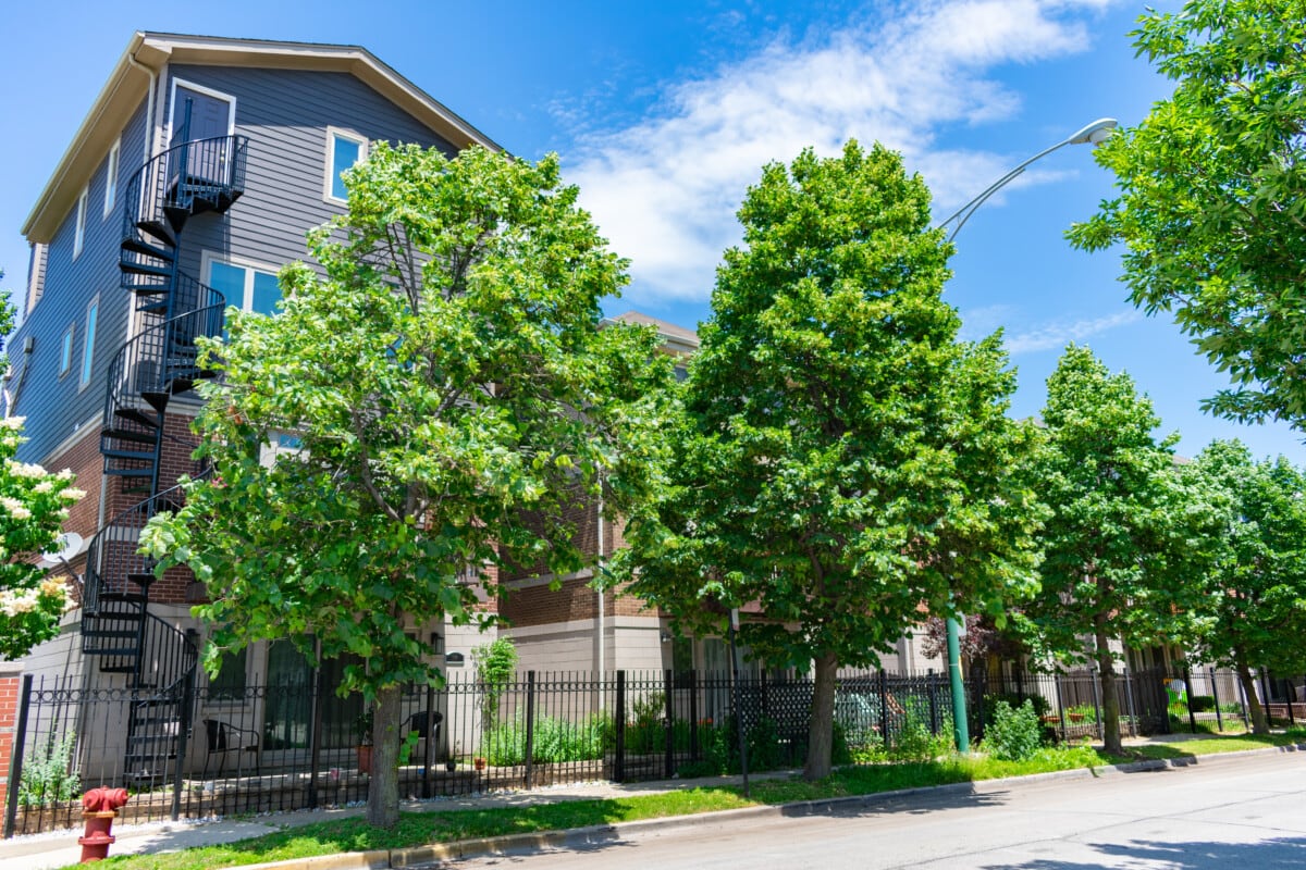 Row,Of,Homes,With,Green,Trees,In,Front,Of,Them