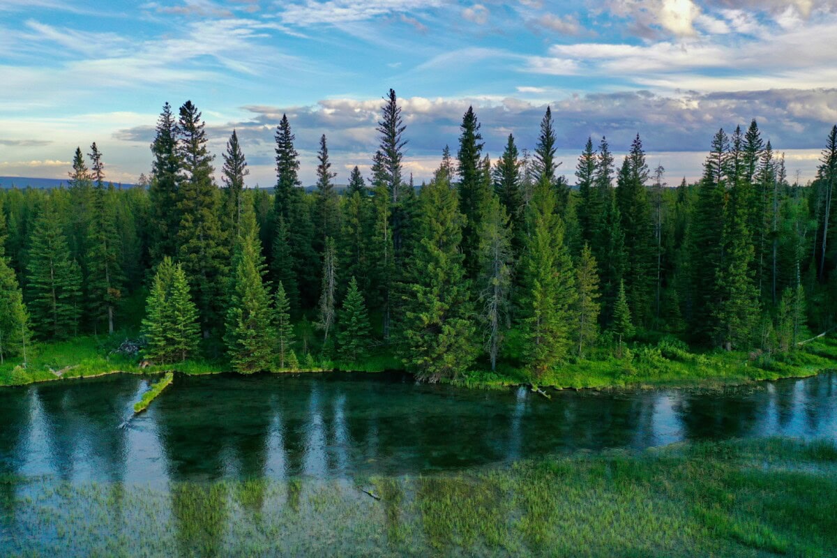 island park lake in idaho to live on