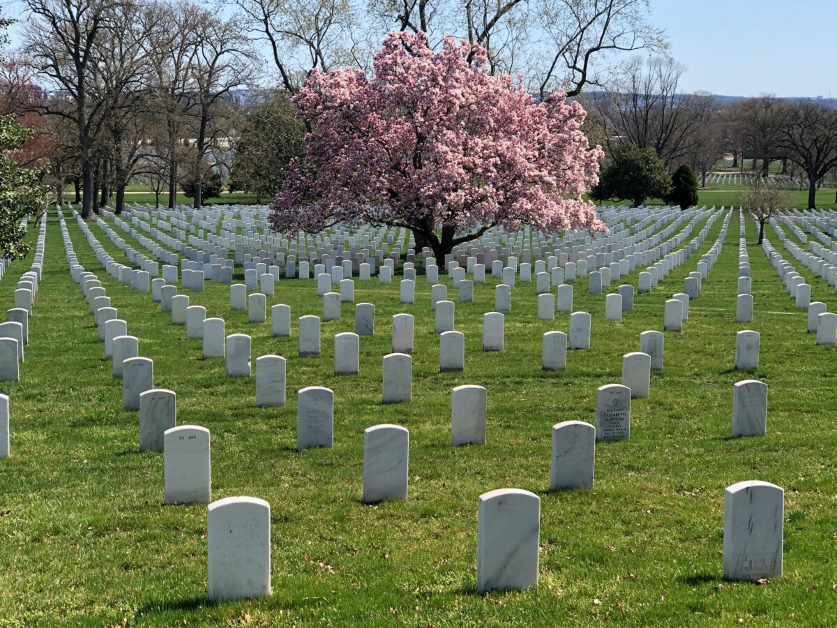 Arlington National Cemetery 