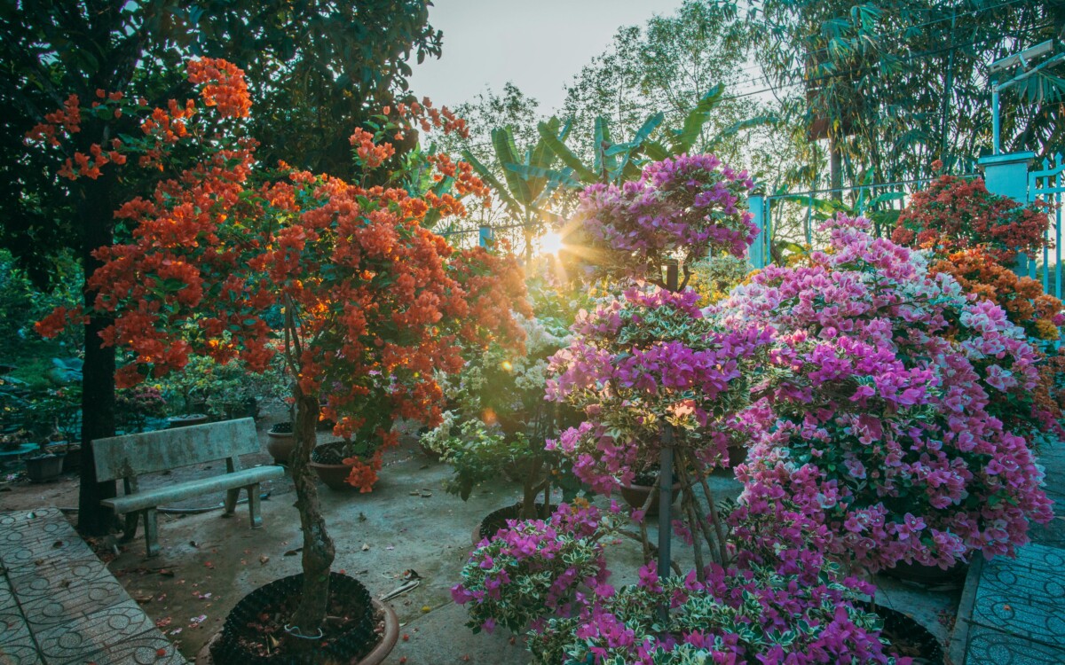 colorful garden