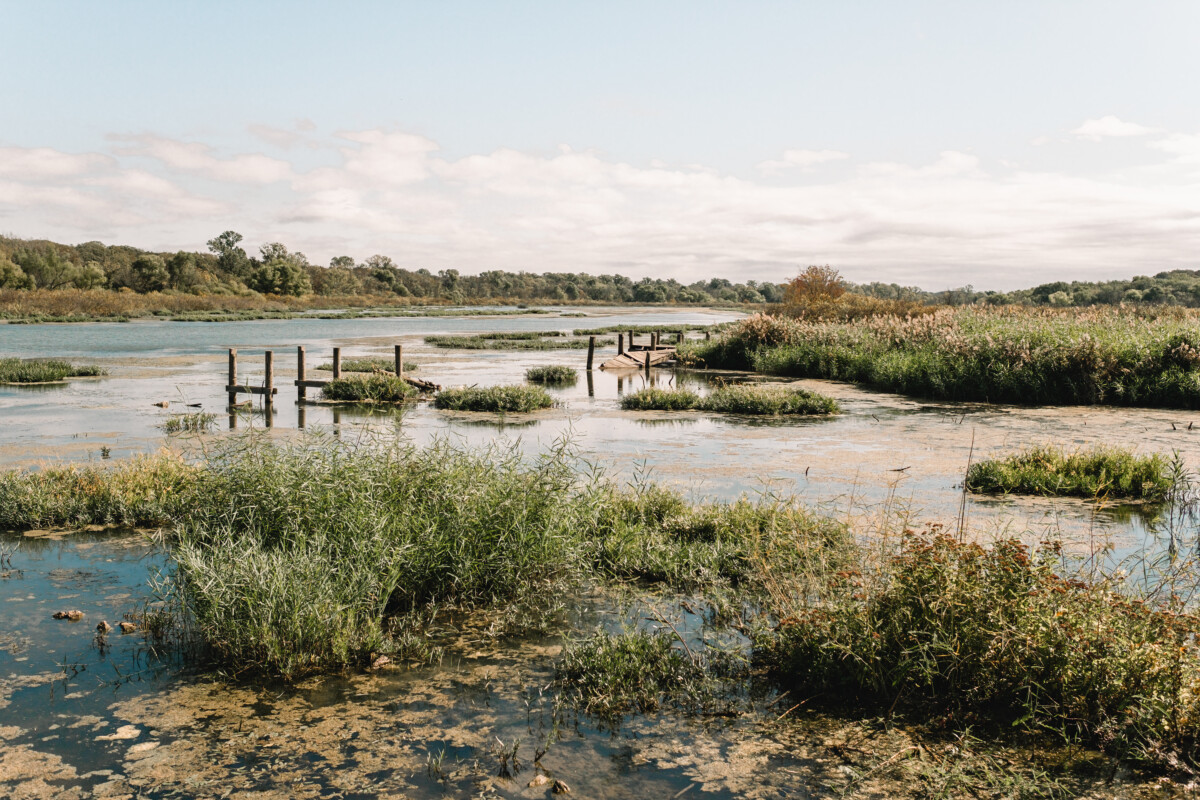 Fort Worth Nature Center and Refuge