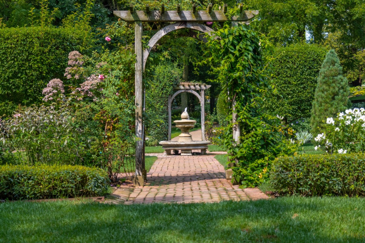 Garden with green shrubs