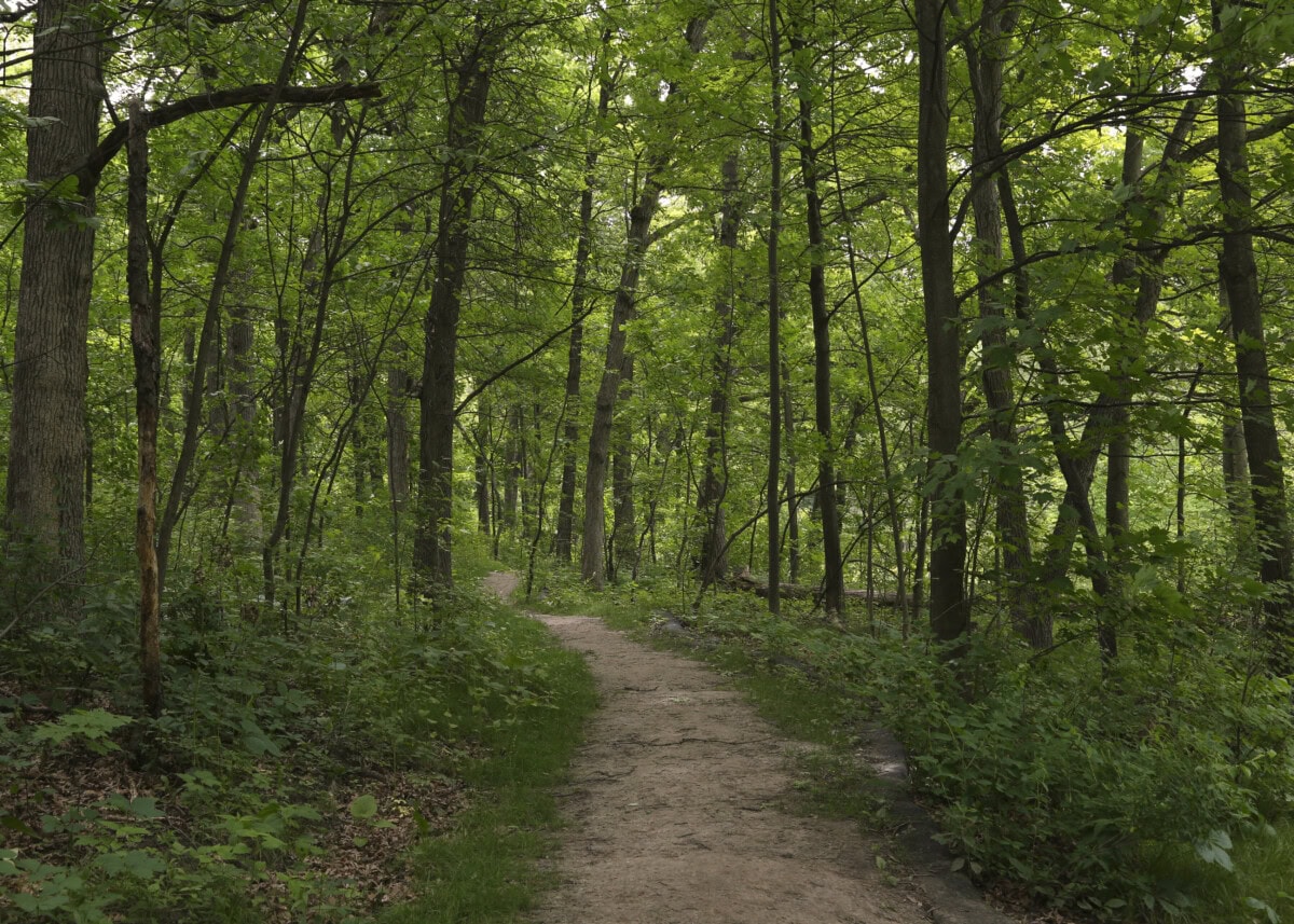 golden-valley-mn