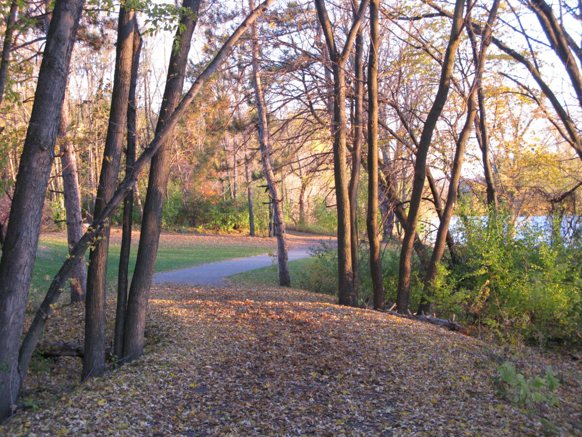 Woodbury MN