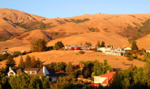 Is Fremont, CA a Good Place to Live? 10 Pros and Cons of Living in Fremont