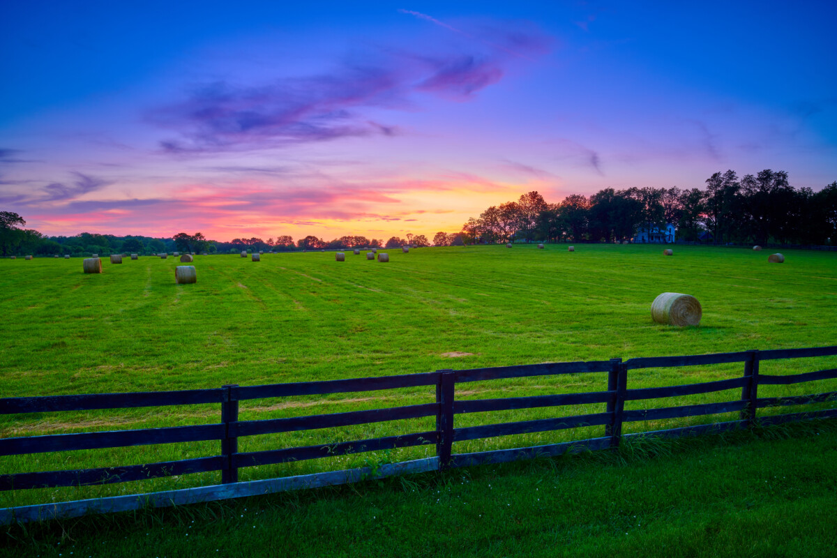 hay bails kentucky farms
