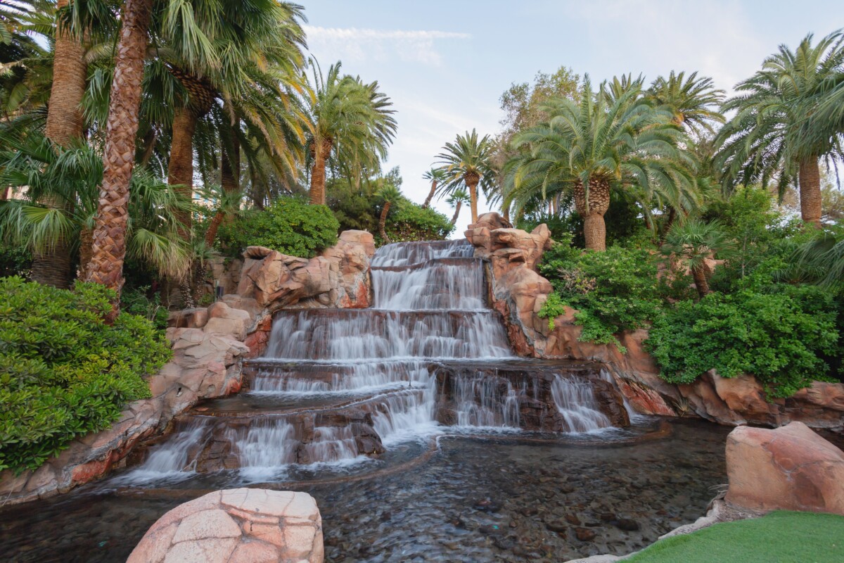 paradise nv