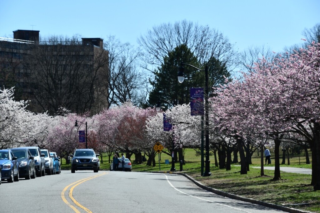 Newark suburbs