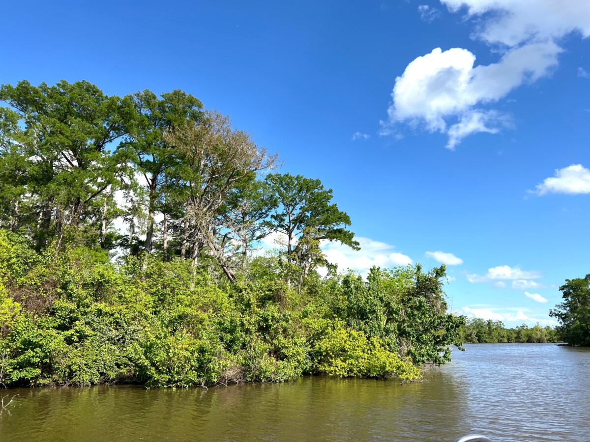 Westwego, Louisiana