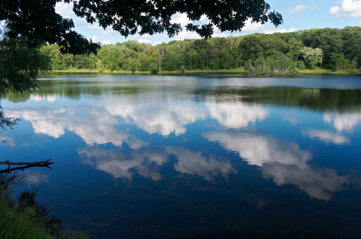 Eagan MN