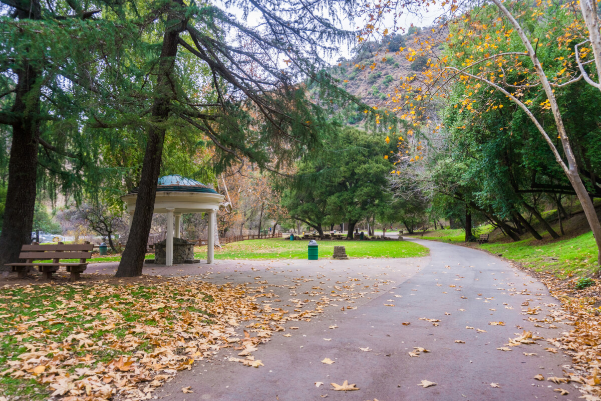 Paved,Path,In,Alum,Rock,Park,,San,Jose,,Santa,Clara