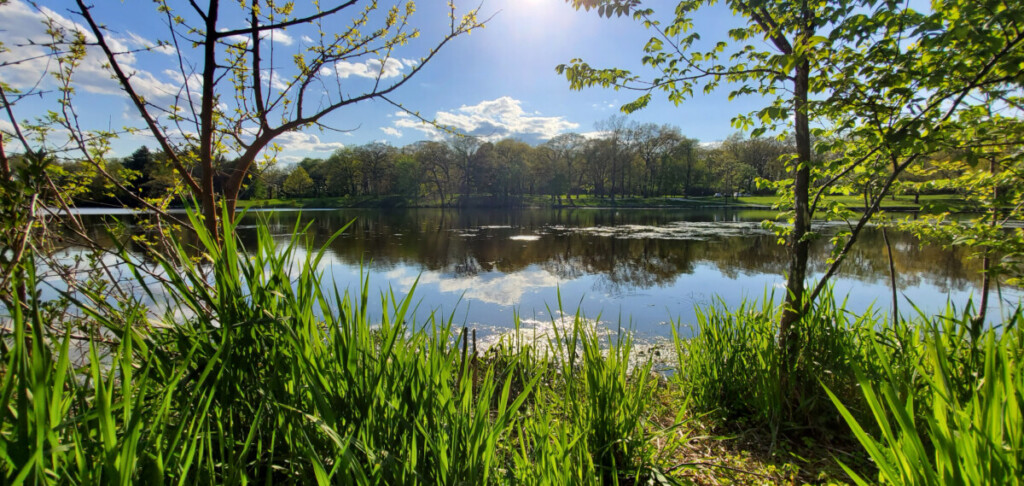 PropertyWireDaily — Lake County, IL Housing Market Update: June 2026