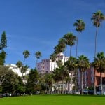 Palm trees in front of buildings in San Diego, CA.