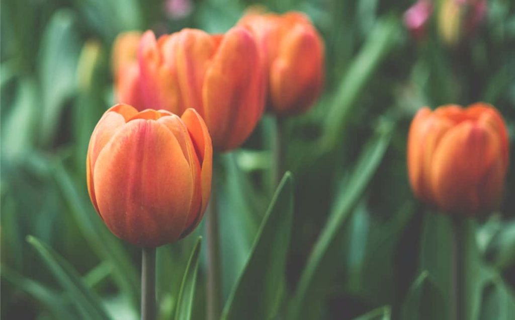 spring selling tips