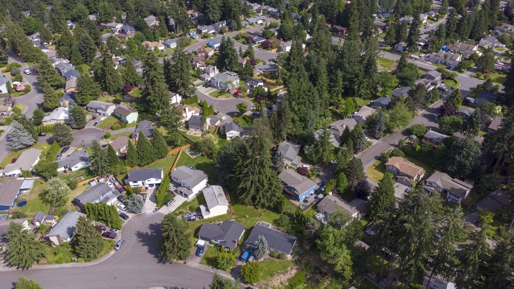 Mill Creek, WA by Tim Ellis